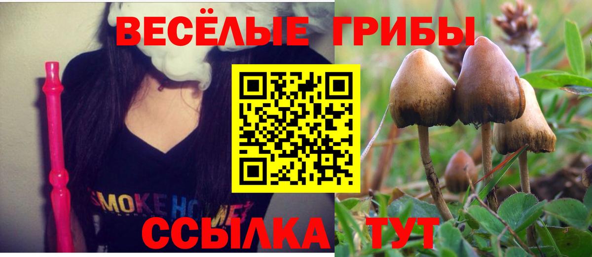 Каспийск  Псилоцибиновые грибы Magic Shrooms  Вход с VPN 